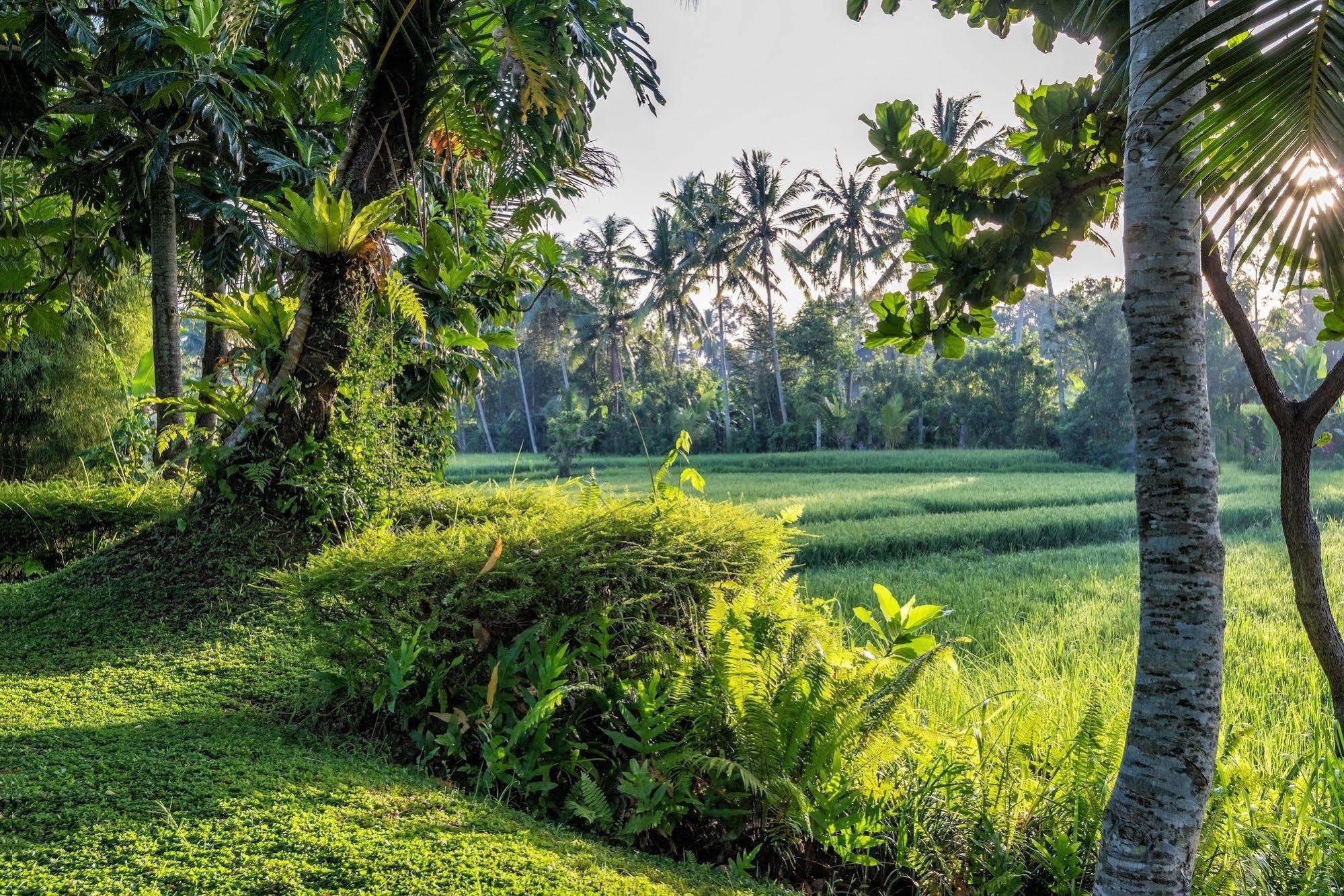 Villa Sabandari Ubud  Exterior photo